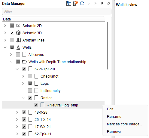 Edit_well_raster_context_menu.png