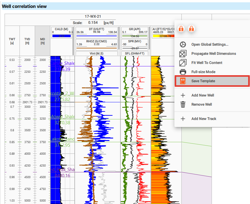 Demo_well_corr_template