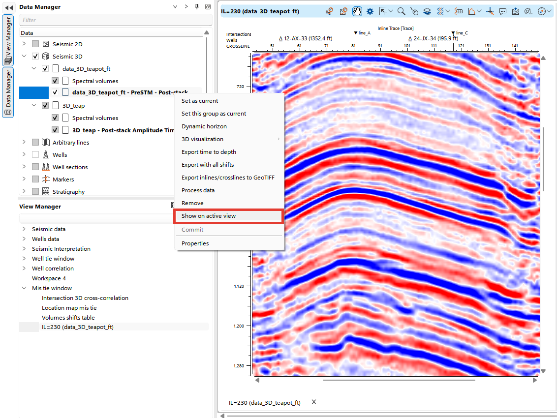 Mis-tie_seismic_visual_active_view